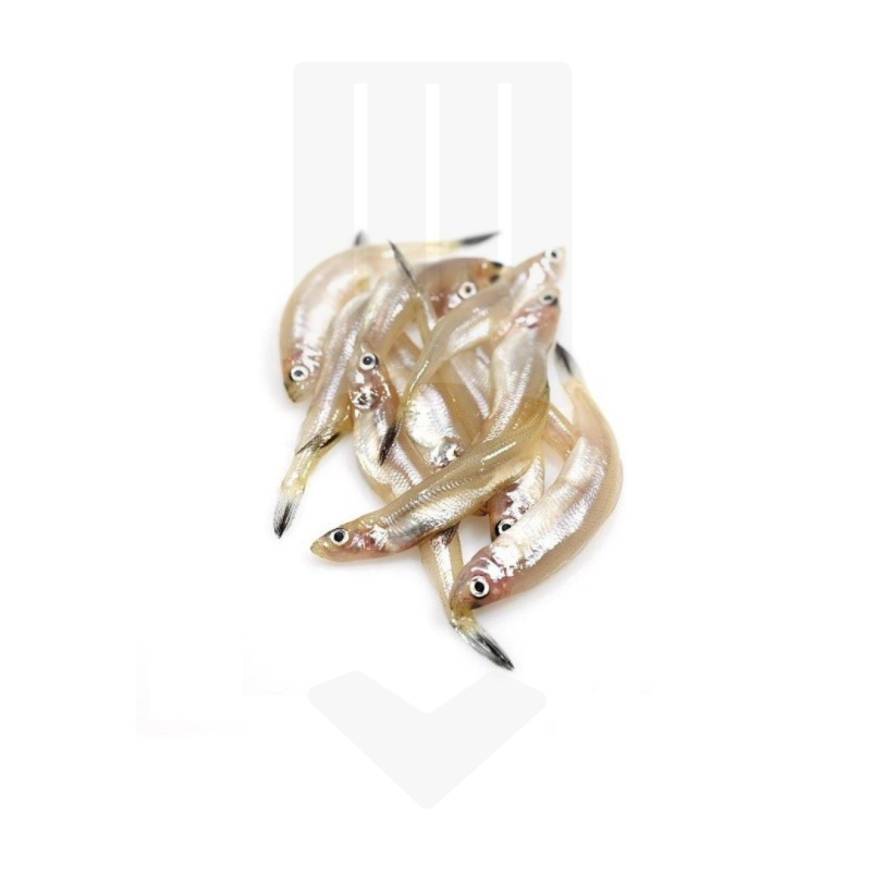 Friture surgelée 100% éperlans IQF du Canada