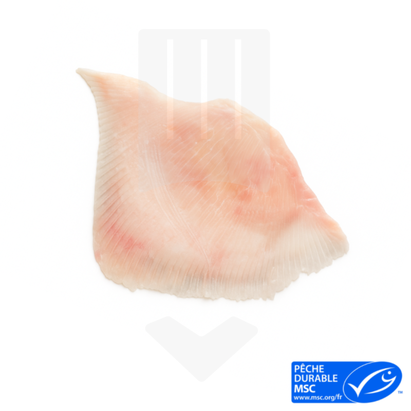 Aile de raie sans peau surgelée, origine Nouvelle-Zélande