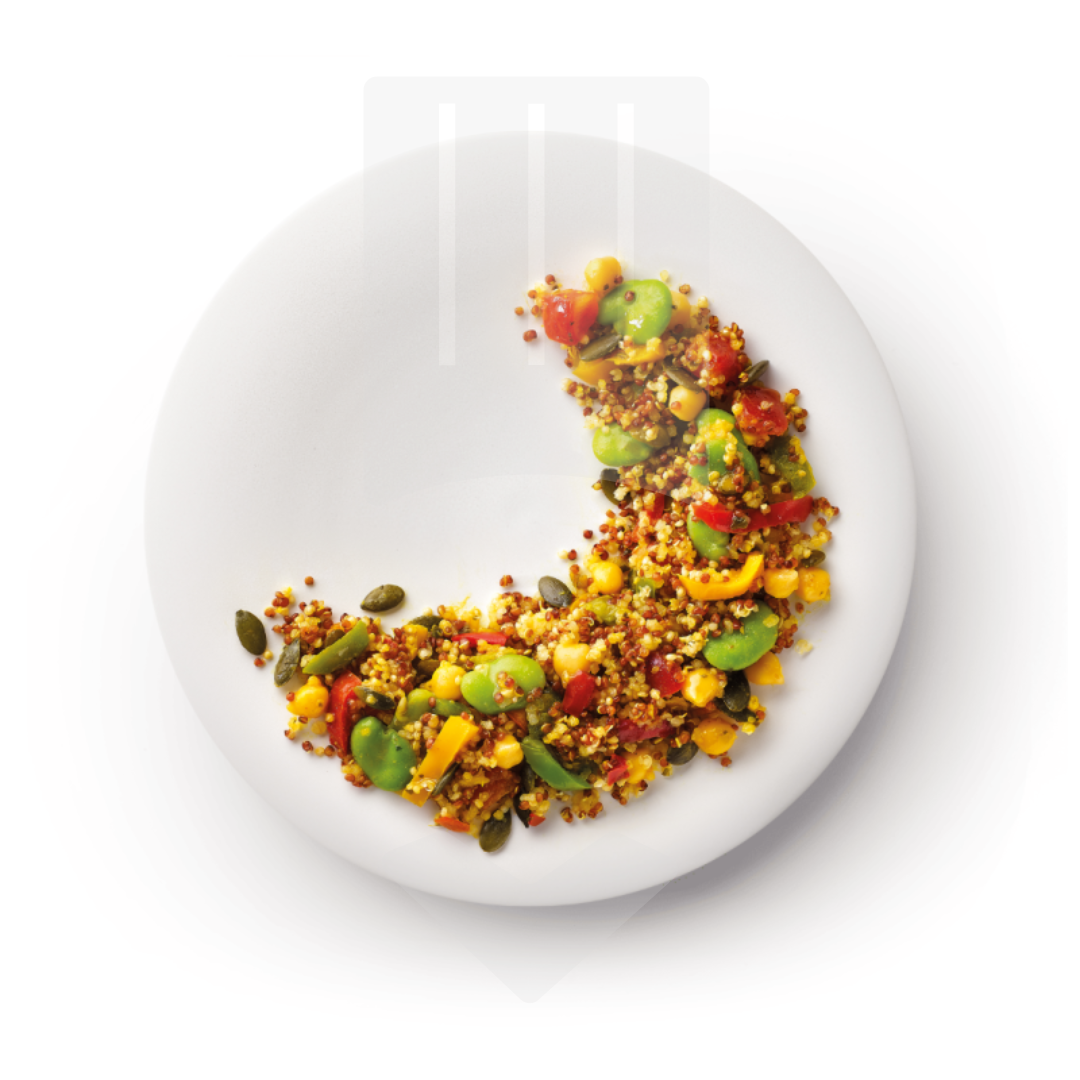 Salade premium Indian summer surgelée 1.25kg