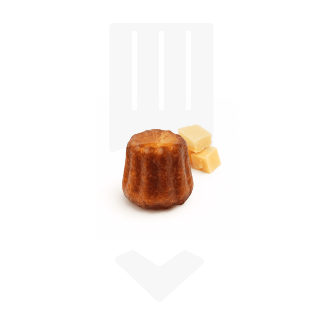 Mini canelé salé au parmesan AOP, pièce de +/- 10gr