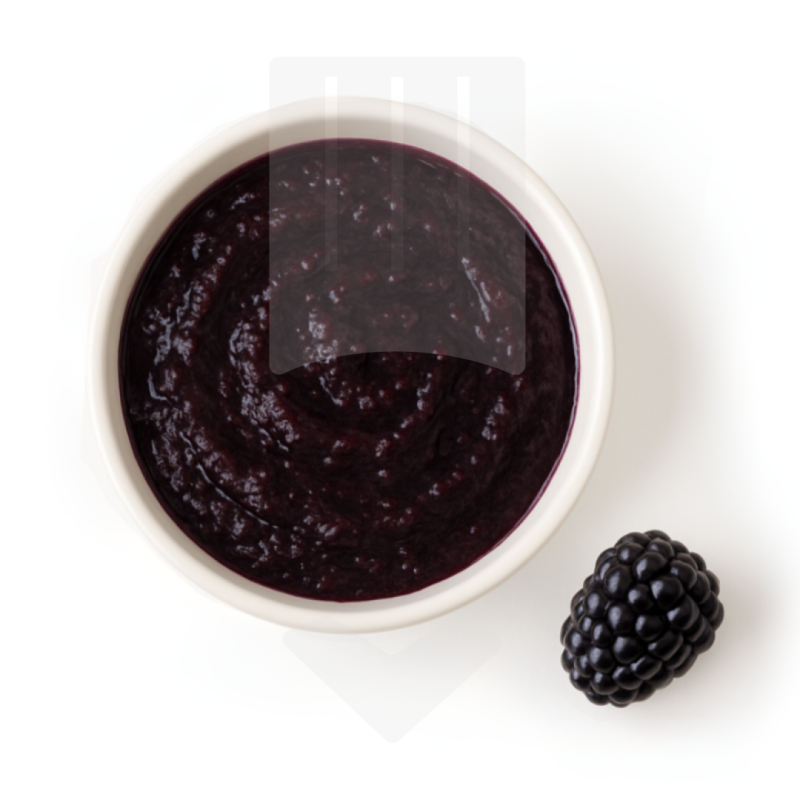 Purée de mûres de Serbie Ponthier 1kg