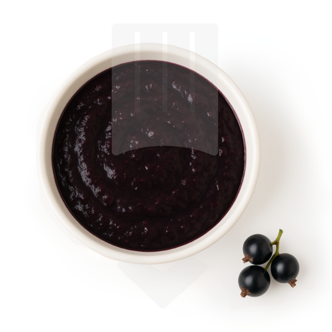 Purée surgelée de cassis noirs de Bourgogne