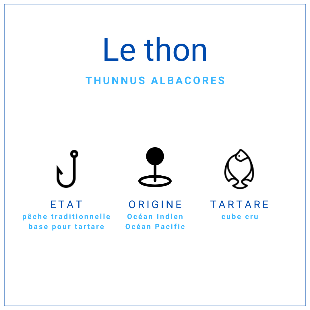 Tartare de thon albacore express 100gr | Grossiste