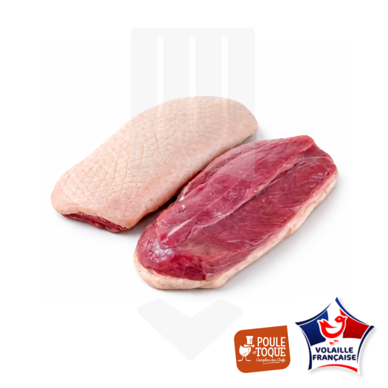 Filet de canette de 170/240gr 100% Barbarie
