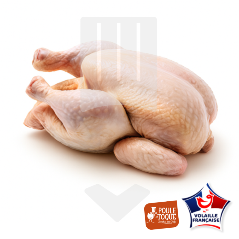 Poulet noir PAC Volaille Française surgelé 1.3kg