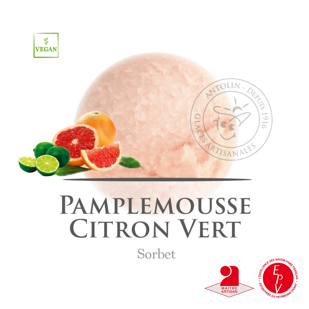 Bac 2.5L - Sorbet Pamplemousse Citron Vert Grossiste