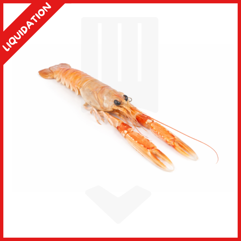 Langoustines entières d'UE surgelées de 21/30