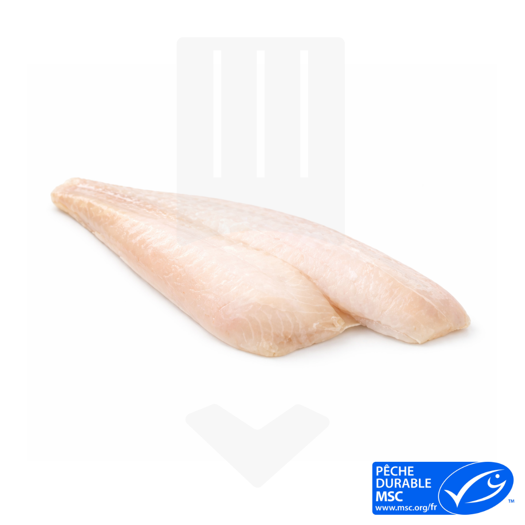 Filet Limande Sans Peau +/-120gr | Grossiste Alimentaire