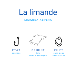 Filet Limande Sans Peau +/-120gr | Grossiste Alimentaire