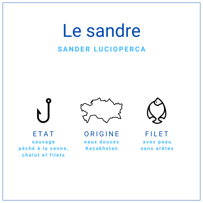 Pavé de sandre d'eaux douces avec peau