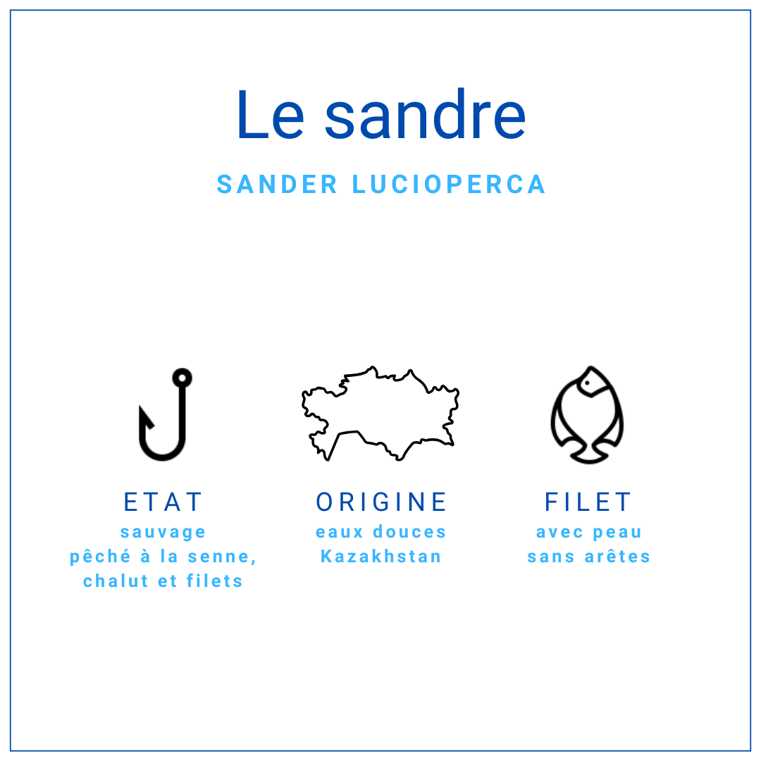 Pavé de sandre d'eaux douces avec peau