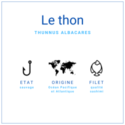 Saku Thon Albacore +/-400gr | Grossiste Alimentaire