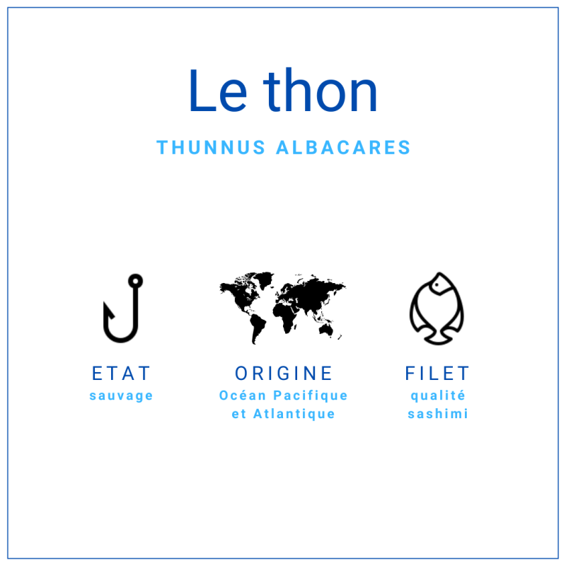 Saku Thon Albacore +/-400gr | Grossiste Alimentaire