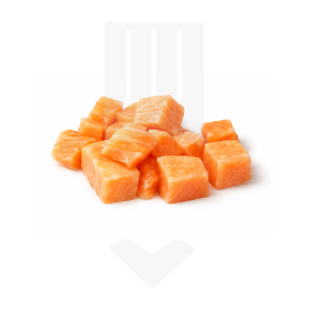 Cubes Saumon Atlantique Cru 1kg | Grossiste Alimentaire