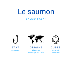 Cubes Saumon Atlantique Cru 1kg | Grossiste Alimentaire