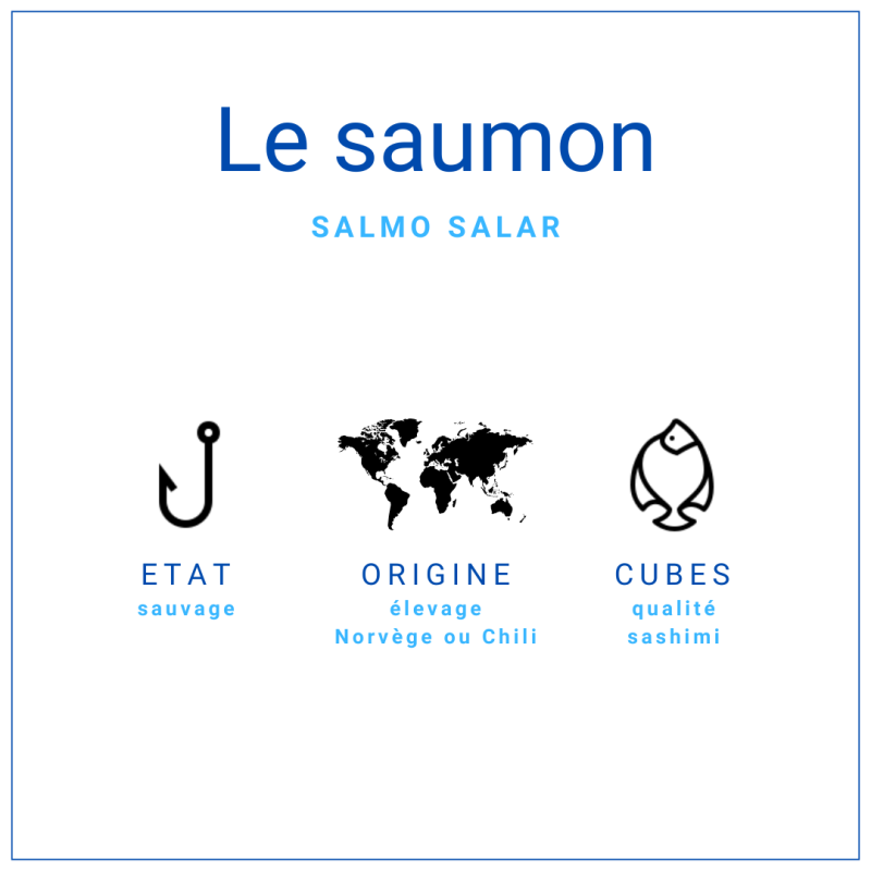Cubes Saumon Atlantique Cru 1kg | Grossiste Alimentaire