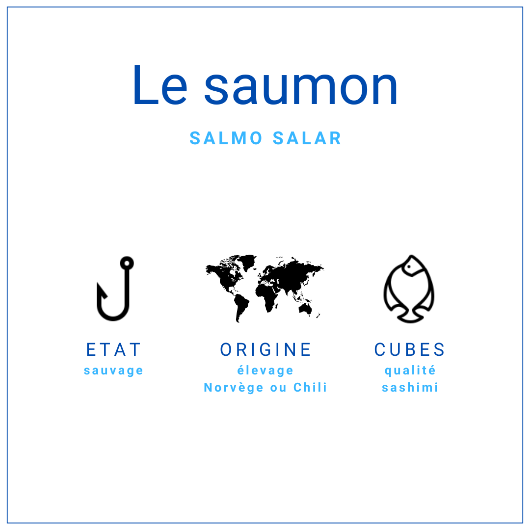 Cubes Saumon Atlantique Cru 1kg | Grossiste Alimentaire