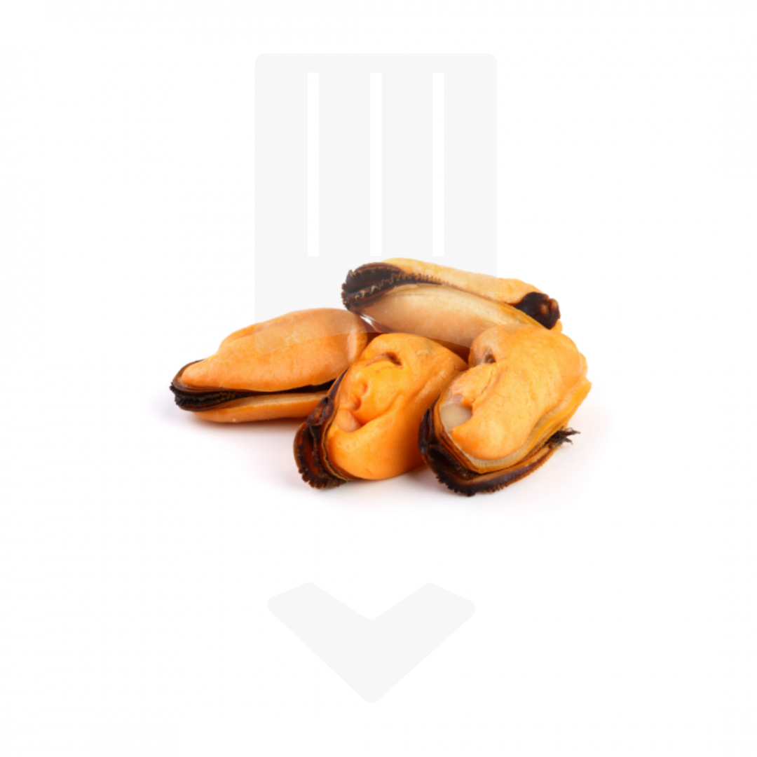 Moules Décoquillées cuites 200/300 | Grossiste Alimentaire