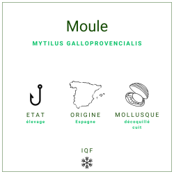 Moules Décoquillées cuites 200/300 | Grossiste Alimentaire