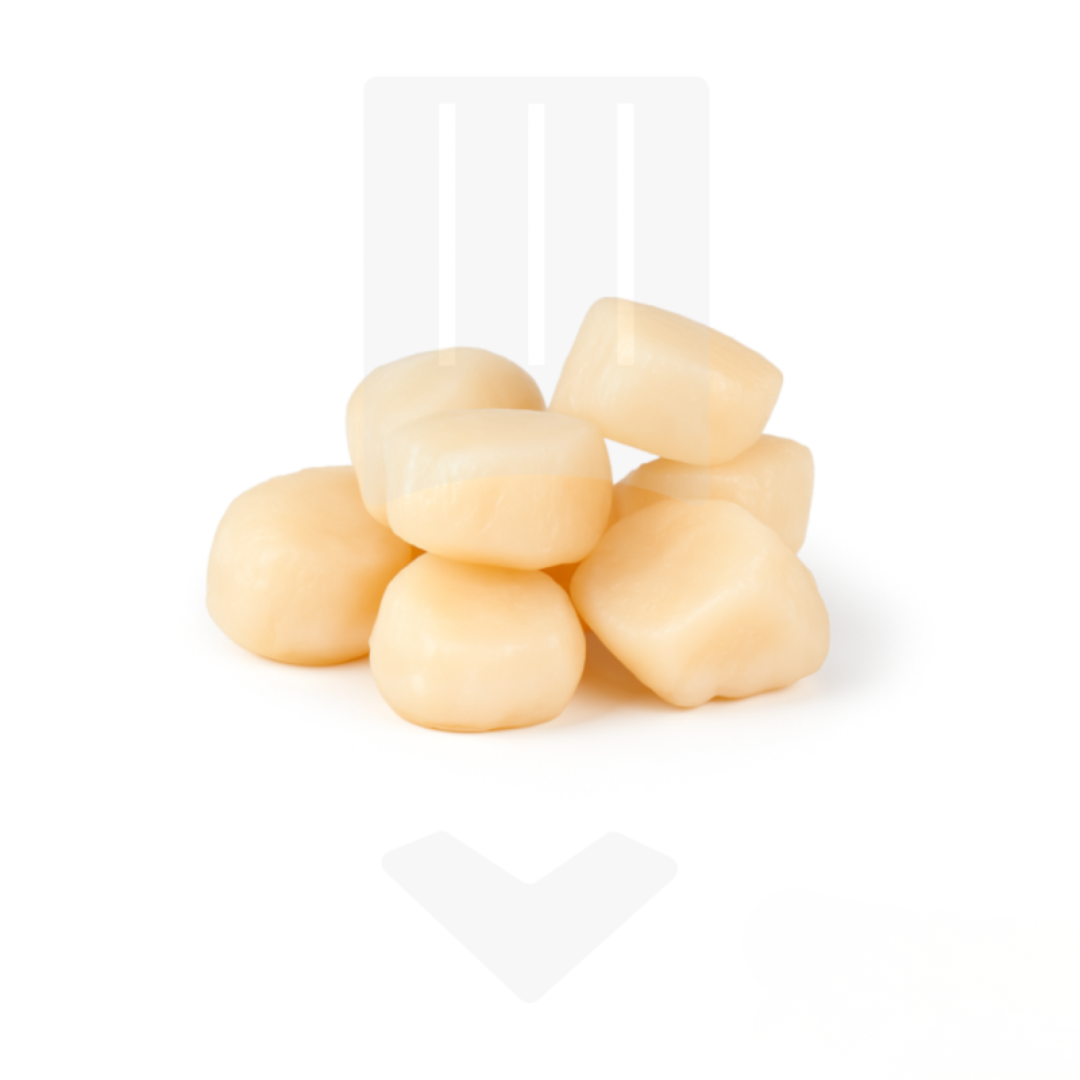 Noix Saint Jacques Pérou 20/30 | Grossiste Alimentaire