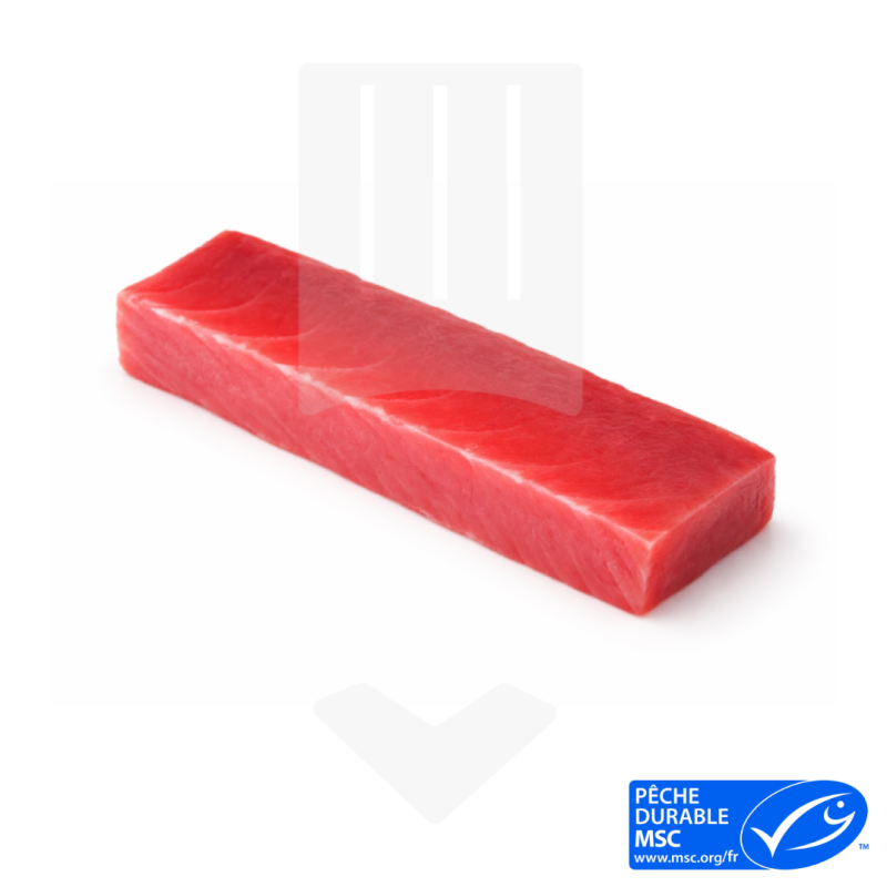 Saku Thon Albacore +/-400gr | Grossiste Alimentaire