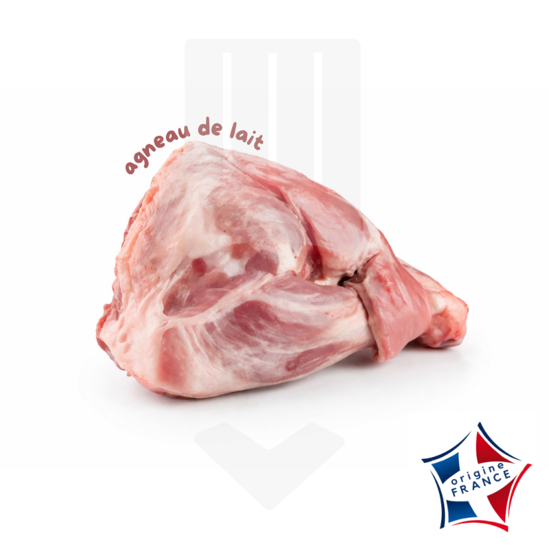 Epaule Agneau Lait Surgelée +/-750gr | Grossiste Alimentaire