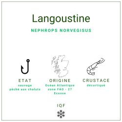 Queues Langoustines Déco 50/70 | Grossiste Alimentaire