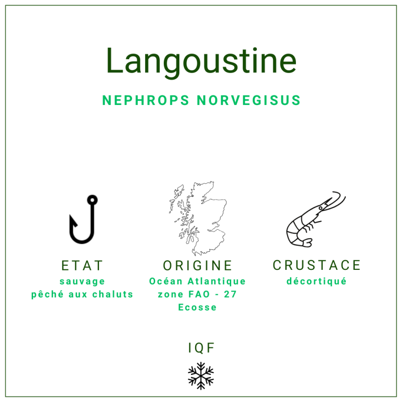 Queues Langoustines Déco 50/70 | Grossiste Alimentaire