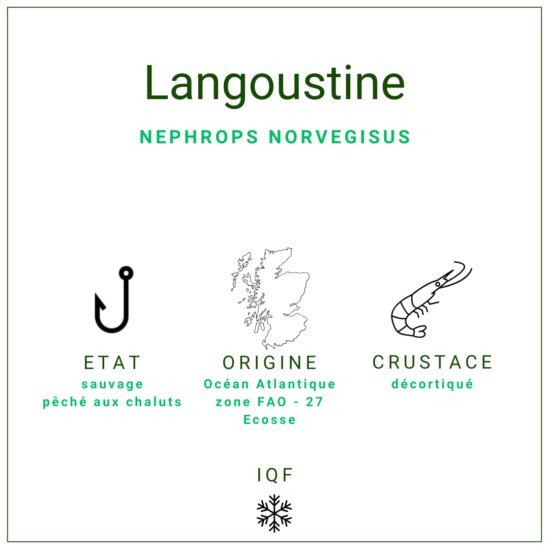Queues Langoustines Déco 50/70 | Grossiste Alimentaire