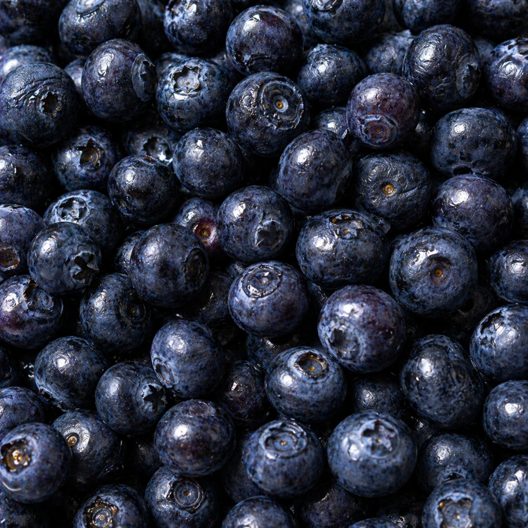 Myrtilles sauvages surgelées IQF d'Europe