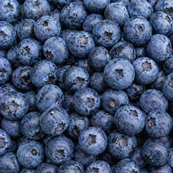 Myrtilles de Culture Surgelées 1kg | Grossiste Alimentaire