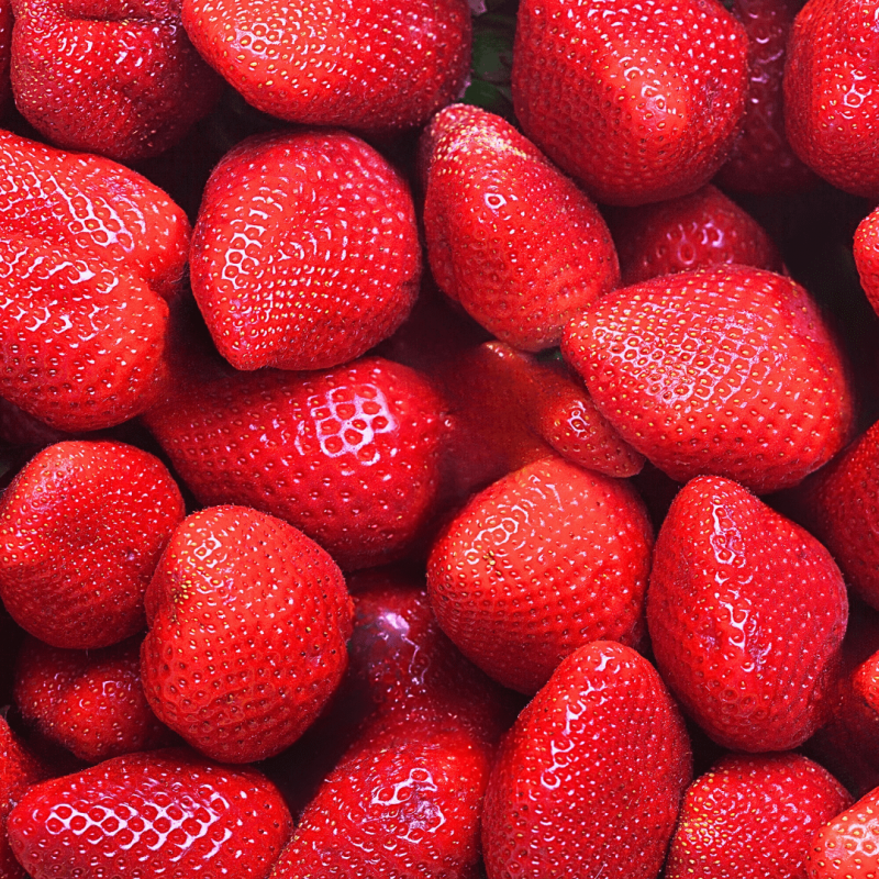 Fraises surgelée entières récoltées en Egypte