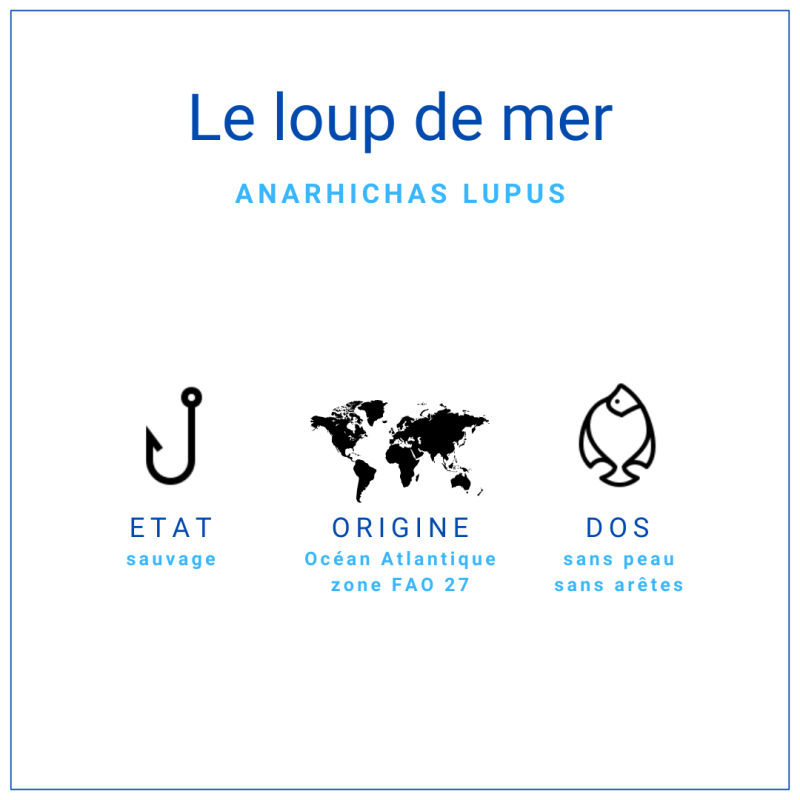 Dos de loup de mer sans peau et sans arêtes