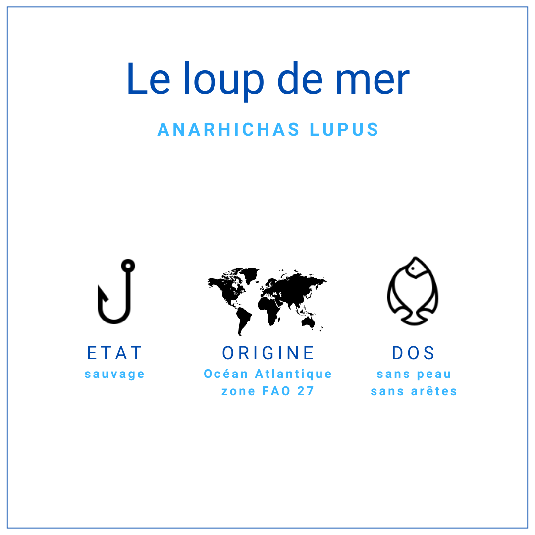 Dos de loup de mer sans peau et sans arêtes