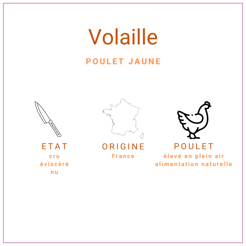 Poulet Jaune Surgelé PAC +/-1.6kg | Grossiste Alimentaire