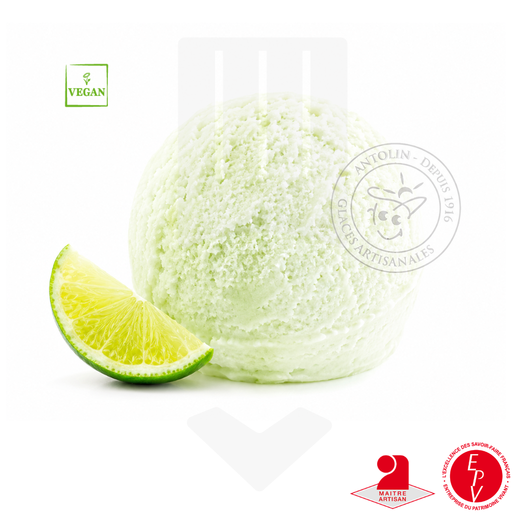 Sorbet citron vert artisanal de chez Antolin