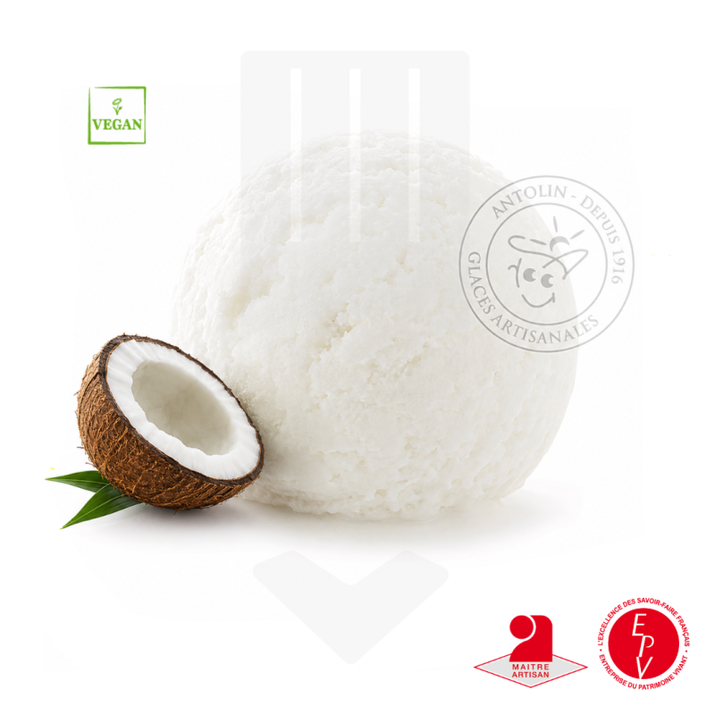 Sorbet Noix de coco artisanal de chez Antolin