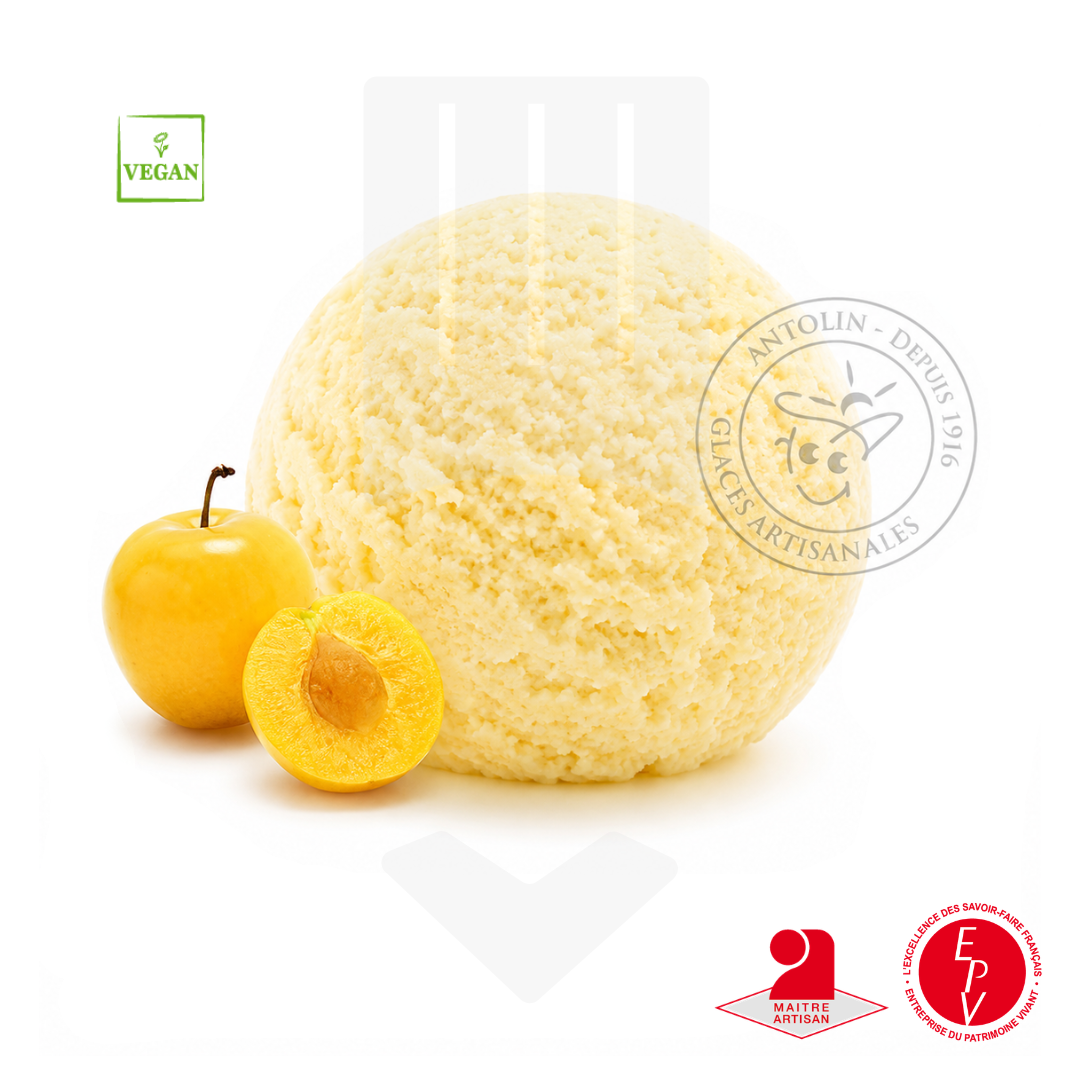 Sorbet mirabelle artisanal de la maison Antolin