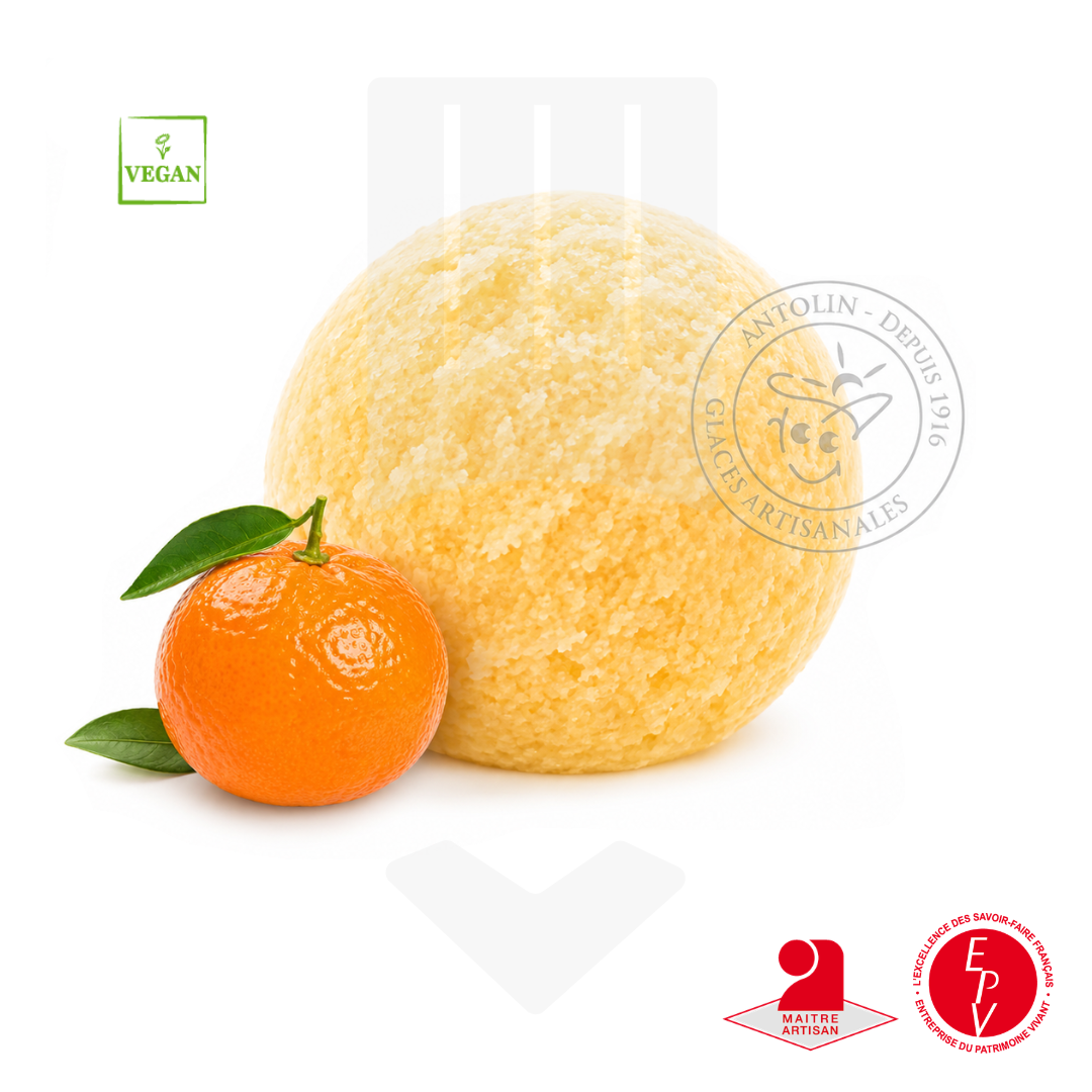 Sorbet artisanal mandarine de chez Antolin