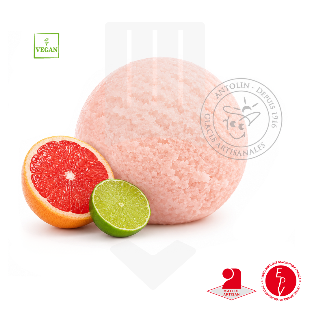 Bac 2.5L - Sorbet Pamplemousse Citron Vert Grossiste