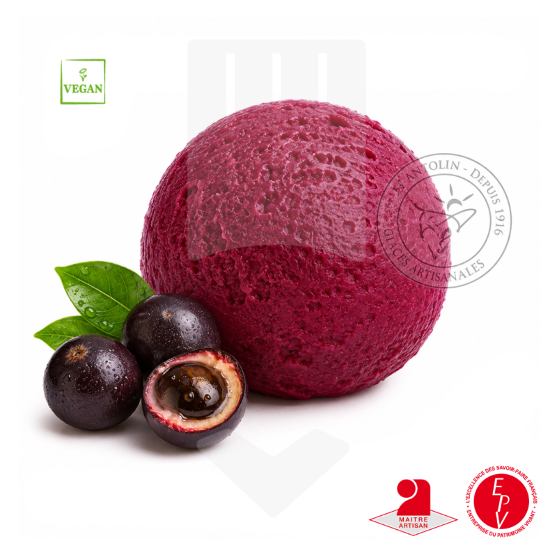 Sorbet Açaí Guarana 2.5L - Rafraîchissement exotique