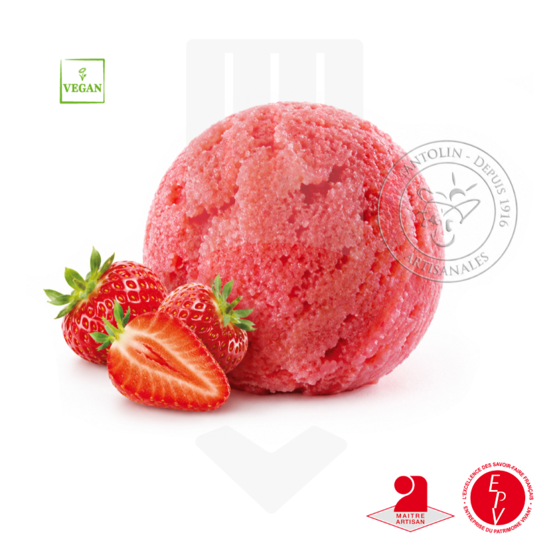 Bac 2.5L - Sorbet Fraise Excellence Grossiste