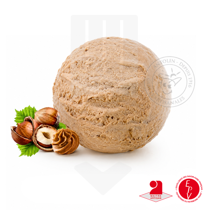Crème glacée praliné de la maison Antolin