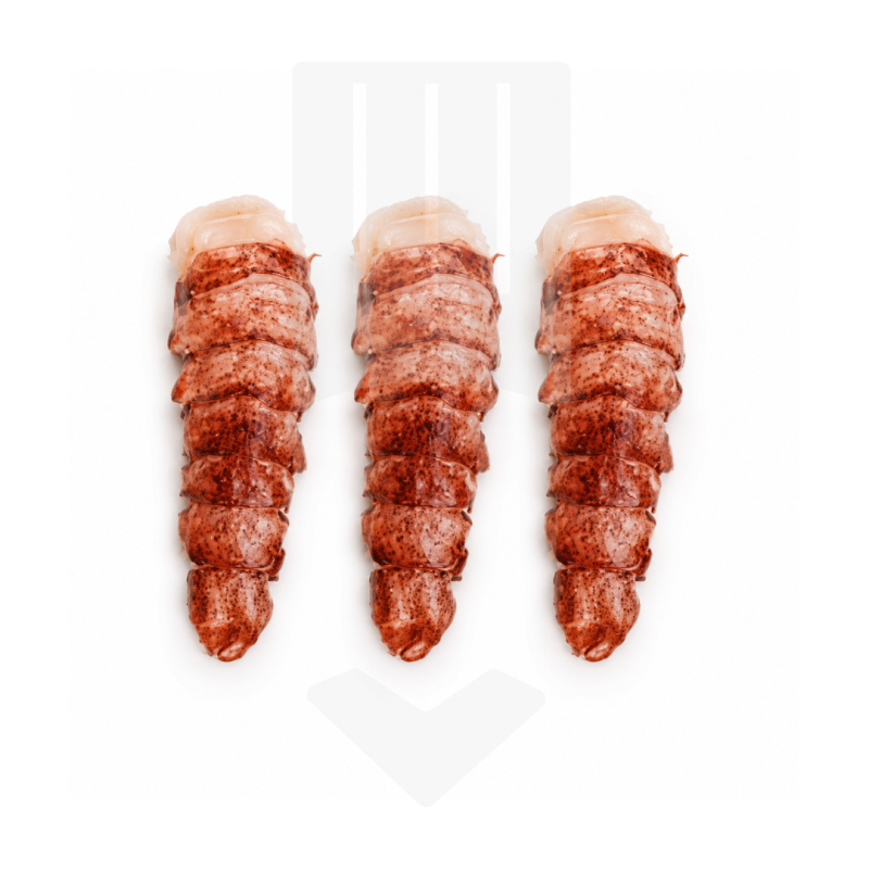 Queues de homard surgelées | Grossiste alimentaire
