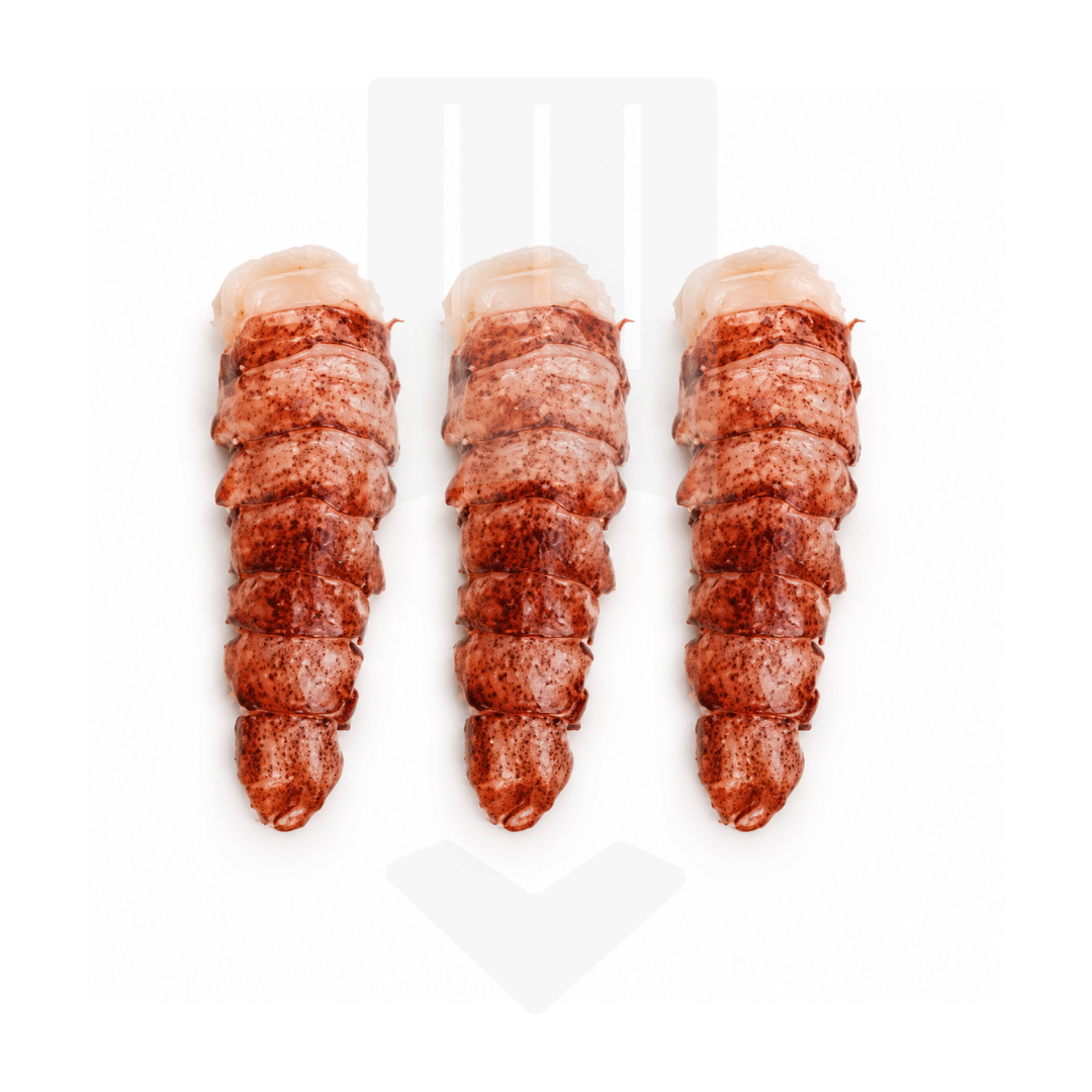 Queues de homard surgelées | Grossiste alimentaire