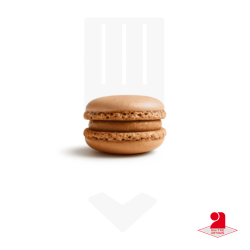 Macaron salé foie gras de canard 12gr