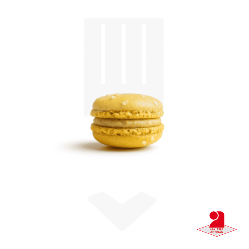 Macaron salé tapenade d'olives vertes 12gr