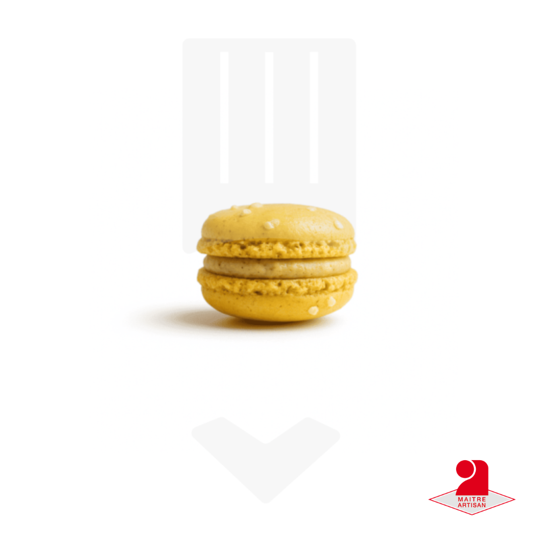 Macaron salé tapenade d'olives vertes 12gr