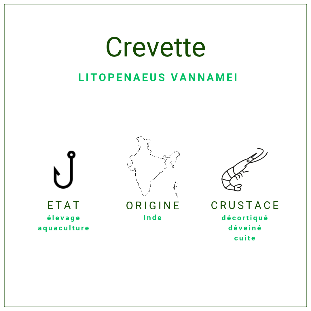 Crevettes cuites décortiquées 40/50 surgelées | Professionnels