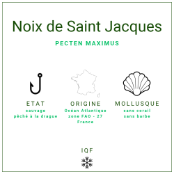 Noix de st Jacques crues s/c du Pérou 20/30